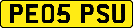 PE05PSU