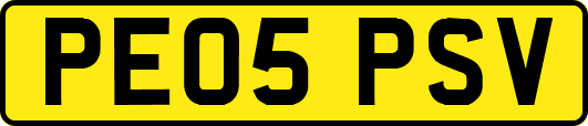 PE05PSV