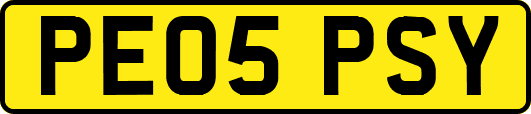 PE05PSY