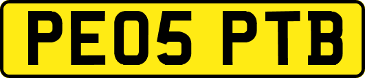 PE05PTB