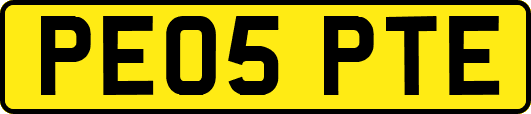 PE05PTE