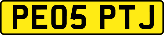 PE05PTJ