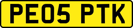 PE05PTK