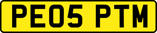 PE05PTM