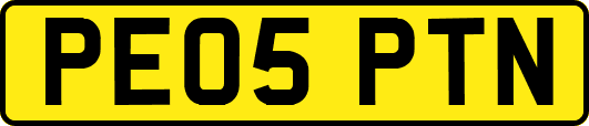 PE05PTN