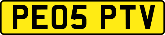PE05PTV