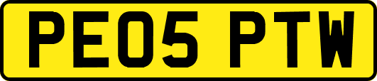 PE05PTW