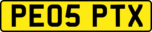 PE05PTX
