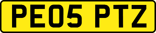 PE05PTZ