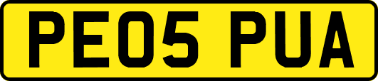 PE05PUA