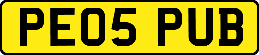 PE05PUB