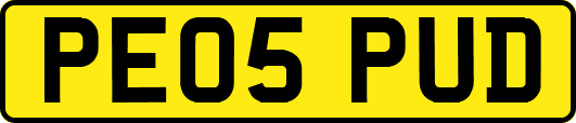 PE05PUD