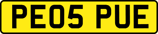 PE05PUE
