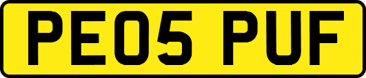 PE05PUF