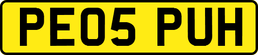 PE05PUH