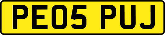 PE05PUJ