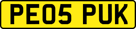 PE05PUK