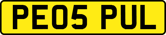 PE05PUL