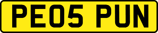 PE05PUN