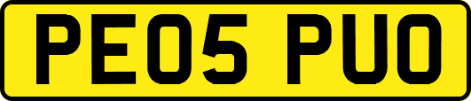 PE05PUO