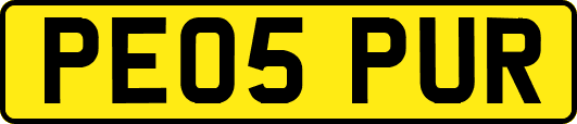 PE05PUR
