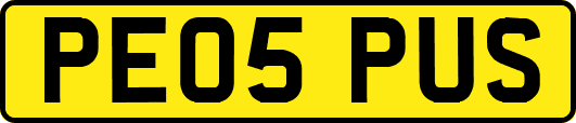 PE05PUS