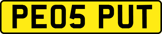 PE05PUT