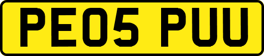 PE05PUU