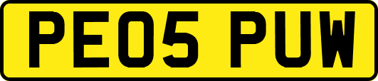PE05PUW