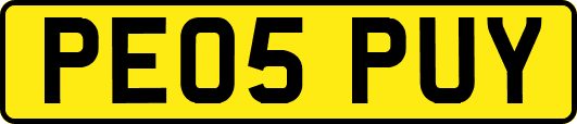 PE05PUY