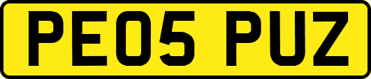 PE05PUZ