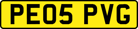 PE05PVG