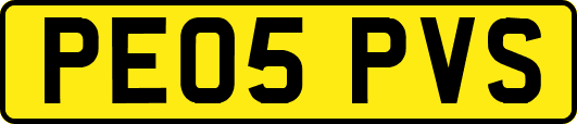 PE05PVS
