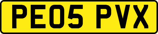 PE05PVX