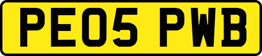 PE05PWB