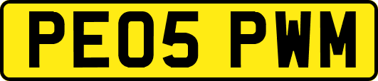 PE05PWM