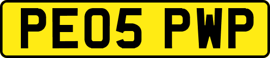 PE05PWP