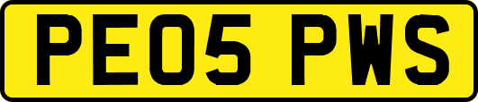 PE05PWS