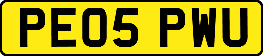 PE05PWU