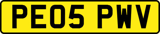 PE05PWV