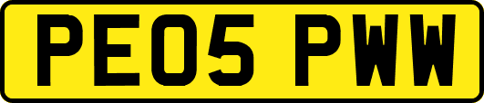 PE05PWW