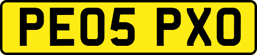 PE05PXO