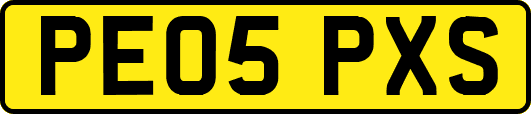 PE05PXS