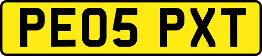 PE05PXT
