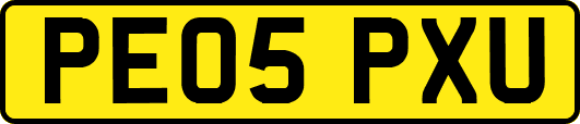 PE05PXU