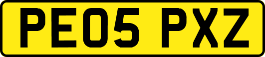 PE05PXZ