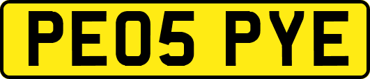 PE05PYE