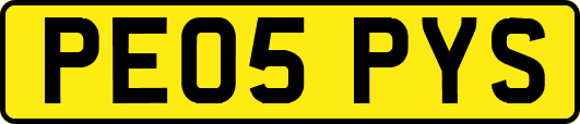 PE05PYS