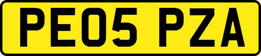 PE05PZA