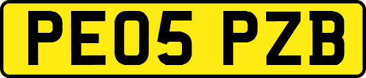 PE05PZB